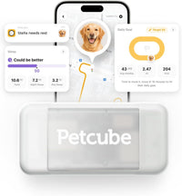 Petcube GPS Tracker for Dogs - GPS Tracker for Dogs - image 2