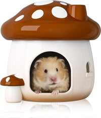 BUCATSTATE Hamster Hideout Ceramic