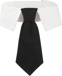 ADOGGYGO Fall Dog Neck Tie - Medium / Black