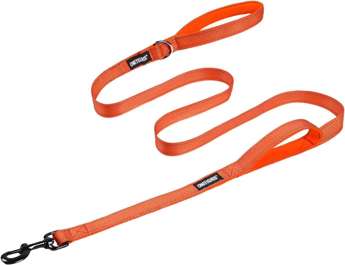 OneTigris No-Pull Dog Leash with Handle for Medium Large Dogs – Essentials for Dogs - Orange / 6FT