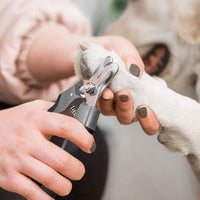 Pet Nail Clippers and Trimmers Set Safety Guard to Avoid Over Cutting - Grey - image 4