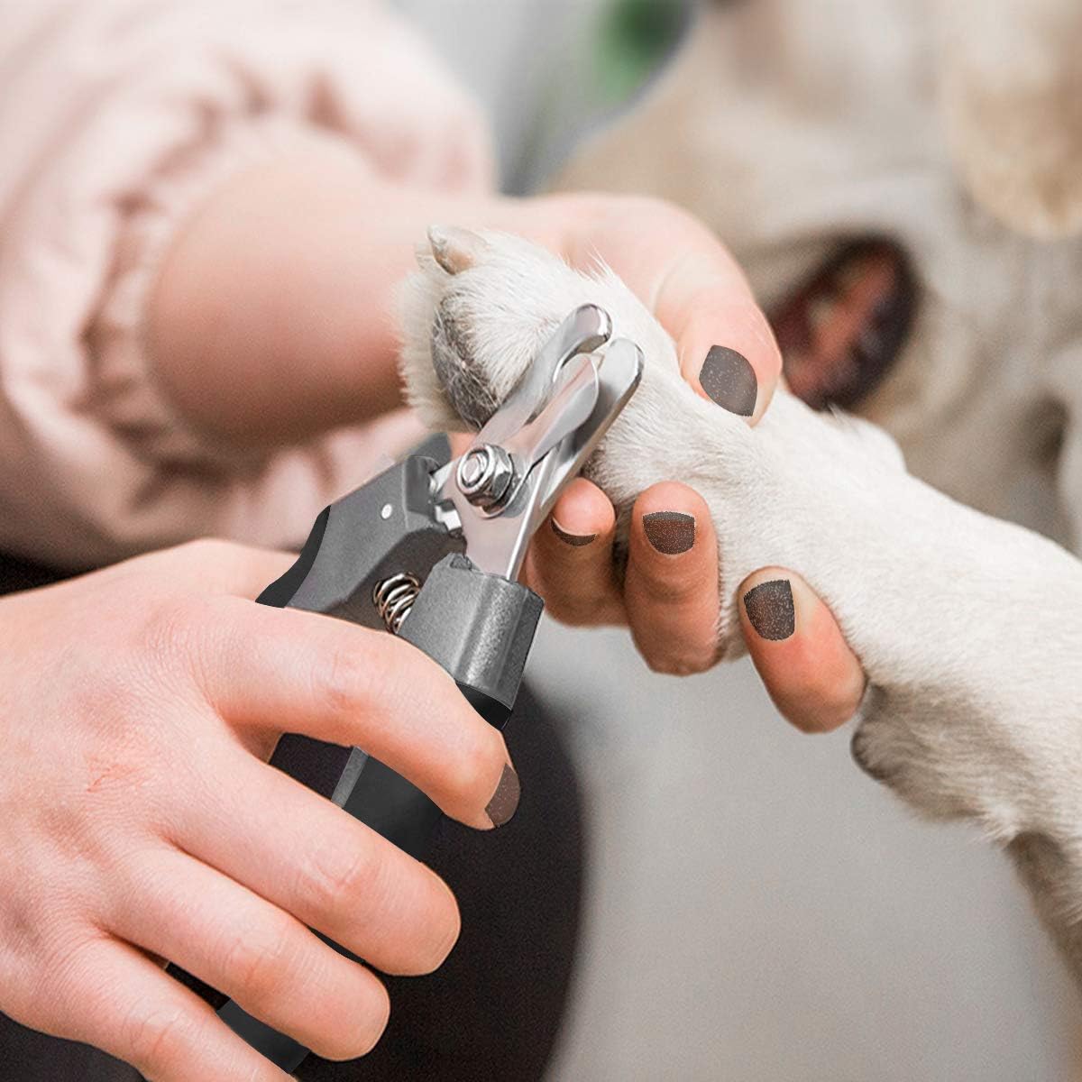 Pet Nail Clippers and Trimmers Set Safety Guard to Avoid Over Cutting - Grey - image 4