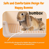 HoppScotch.bun Bumbox Deluxe Rabbit Litter Box - X-Large / Cream - image 3