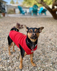 Gooby Fleece Vest Dog Sweater - Red / Large (Around 18-lb) - image 2