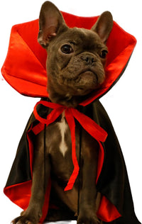 Dog Cat Vampire Cloak Costume for Small Medium Large Dogs Cats - Medium - image 4