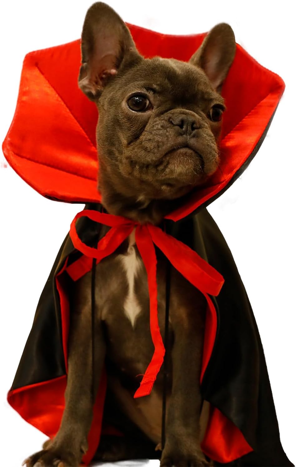 Dog Cat Vampire Cloak Costume for Small Medium Large Dogs Cats - Medium - image 4
