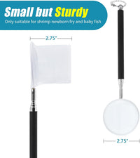 AQUANEAT Small Fish Tank Shrimp Net - Round / 3 Inch - image 2