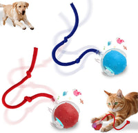 Interactive Cat Toys Smart Ball for Cats & Dogs! Now with 2 Rapid - Red＆Blue