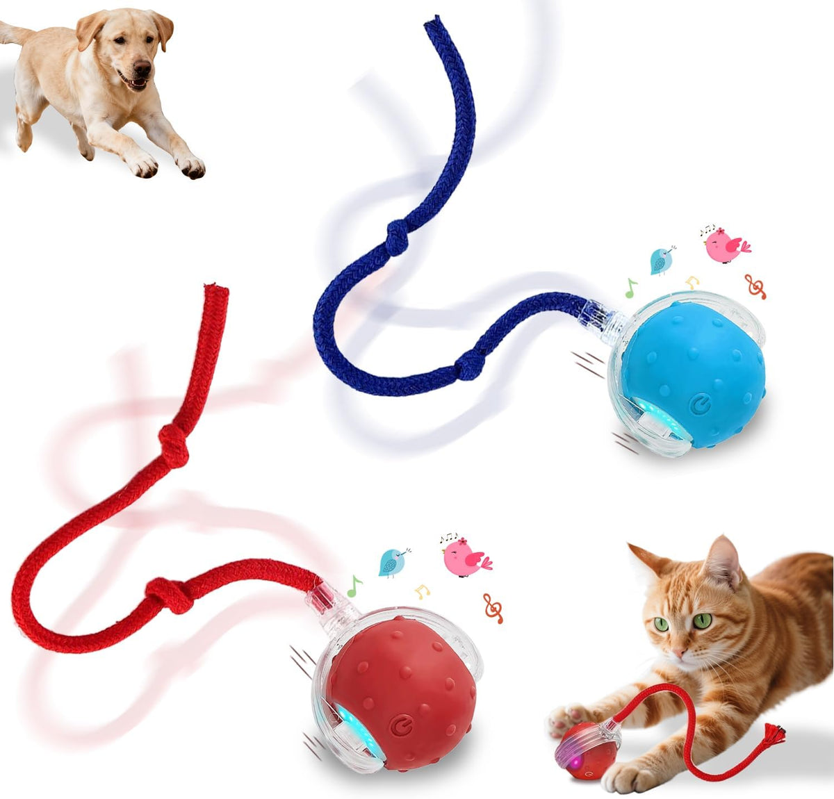 Interactive Cat Toys Smart Ball for Cats & Dogs! Now with 2 Rapid - Red＆Blue