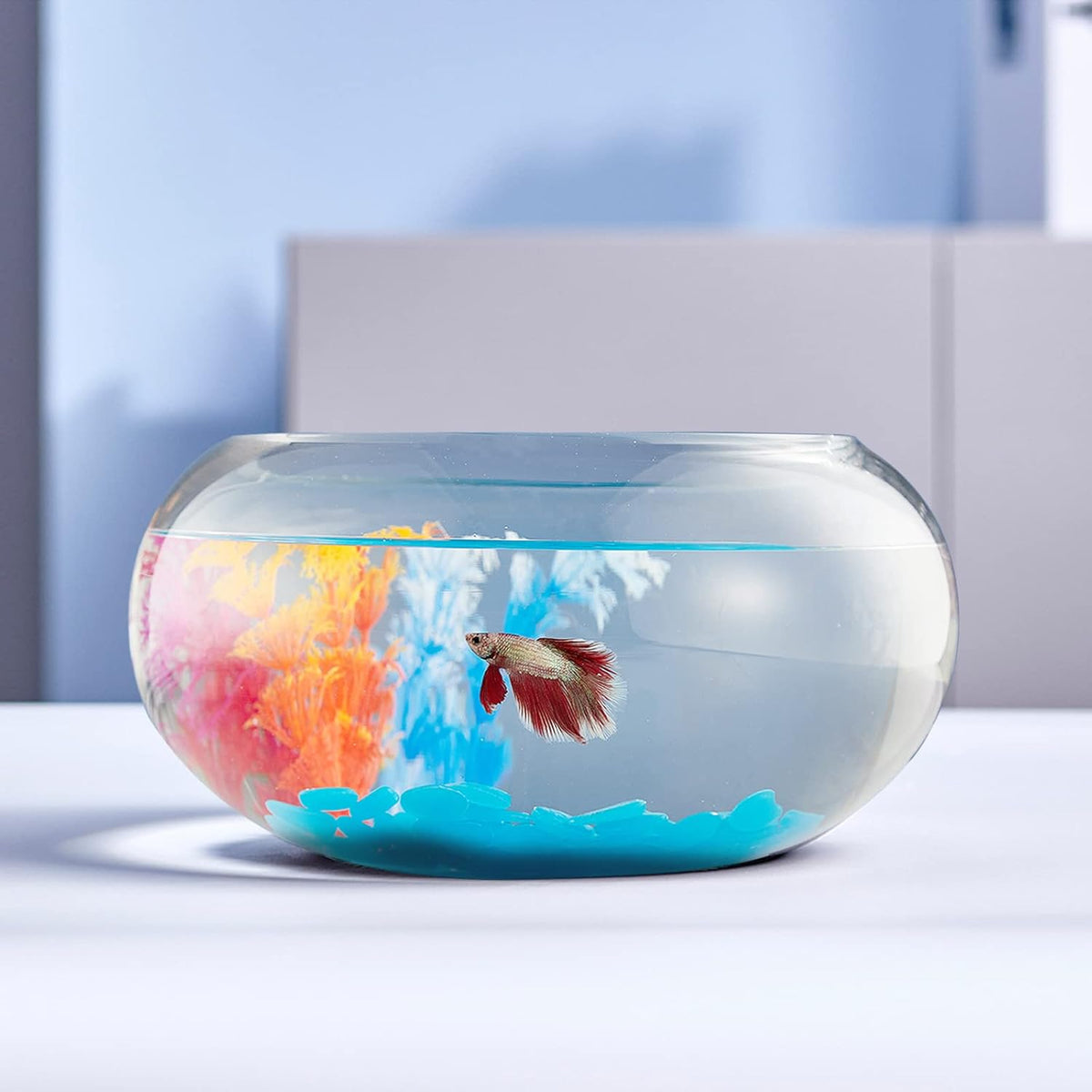 2 Gallon Glass Fish Bowl with Decor - 2 gal fish bowl