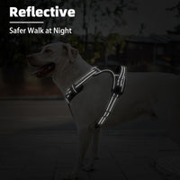 PUPTECK No Pull Halloween Dog Harness for Large - Black / Small / Harness Only - image 3