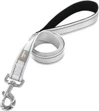 6 FT Basic Dog Leash for Medium Dogs - Refl Silver / Medium : 3/4" x 6 FT - image 2