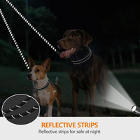 Taglory Double Dog Leash Coupler for Two Dogs - 30 Inch (Pack of 1) / Black - image 4