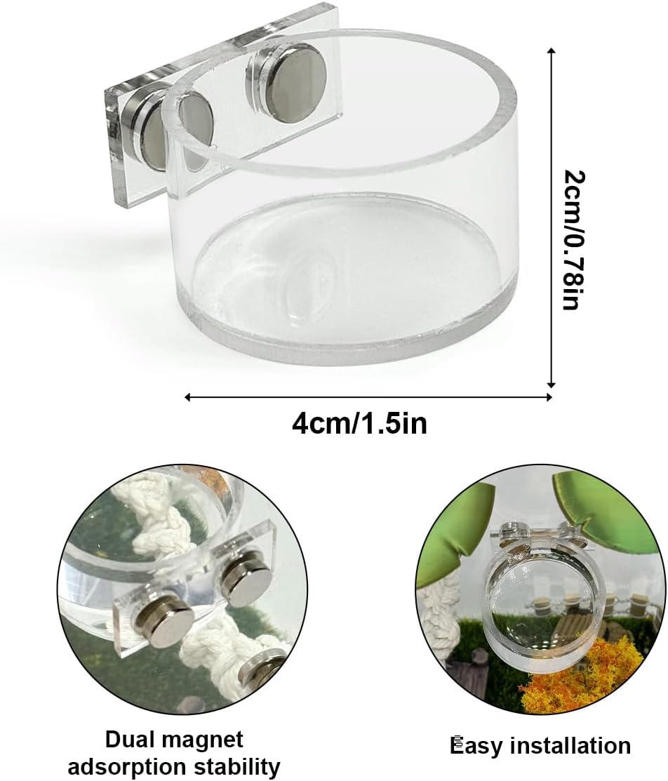 Jumping Spider Feeding Dish Set, Magnetic Water Bowl - image 2