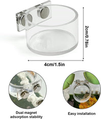 Jumping Spider Feeding Dish Set, Magnetic Water Bowl - image 2
