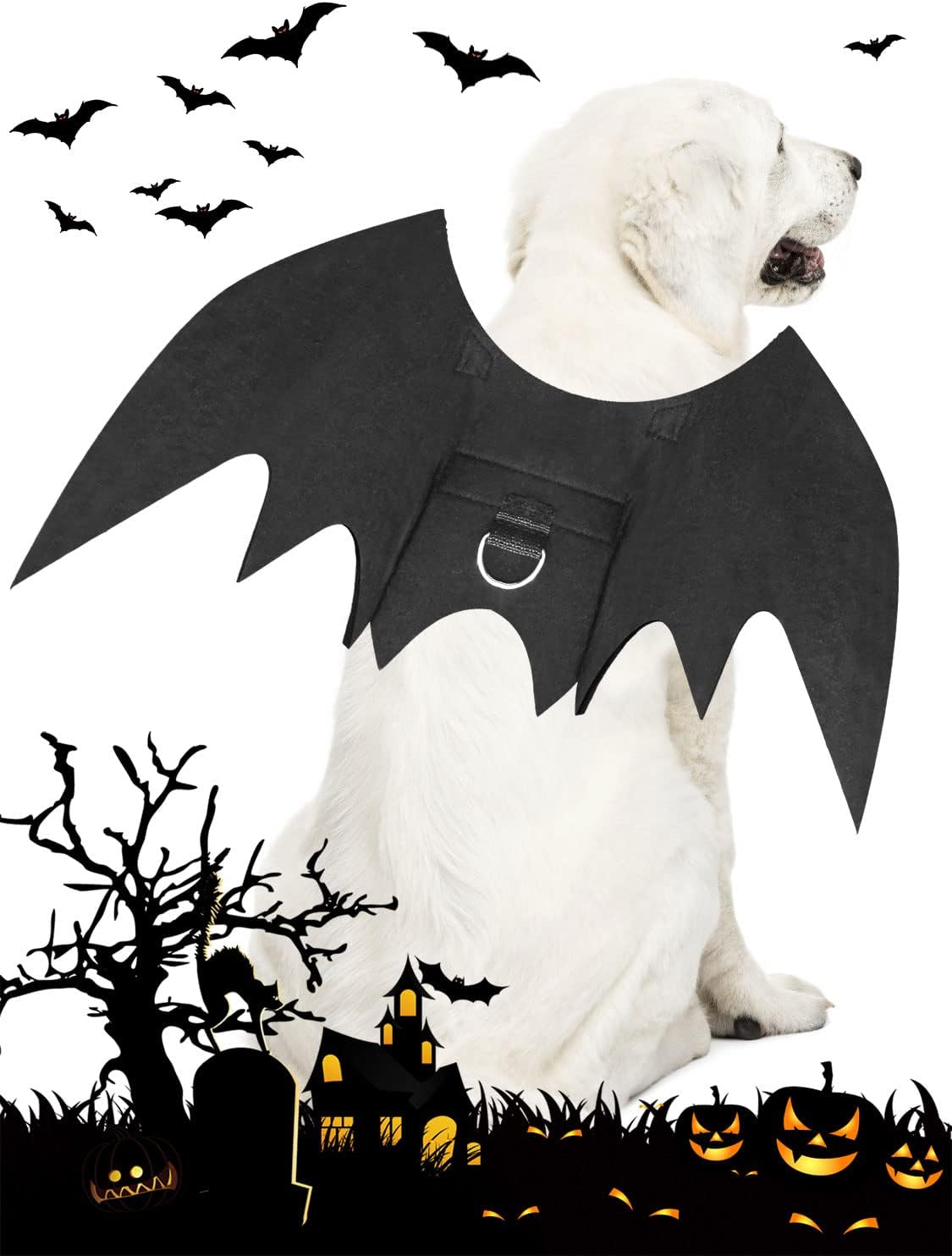Halloween Dog Bat Wings Costume - Medium - image 2
