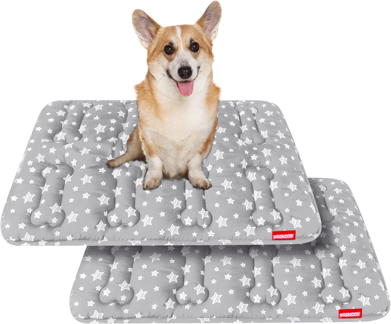 Dog Crate Bed Mat, Soft Dog Bed Pad Mat with Cute Stars – Essentials for Dogs - Medium 30"X19" / Grey+Grey
