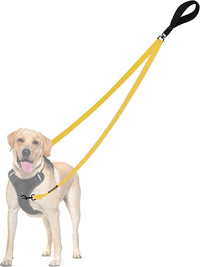 Two Point Control Dog Leash, No Tangle Training Walking Leashes – Essentials for Dogs - Yellow