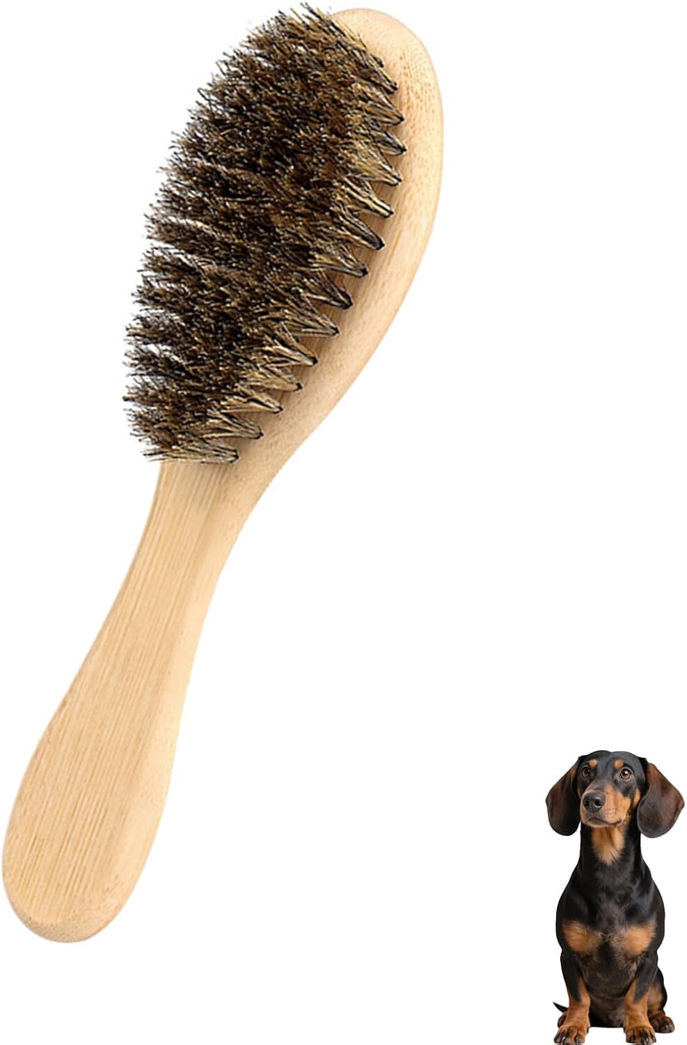 Soft Boar Bristle Dog Brush for Short Haired