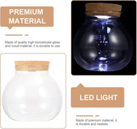 Fish Bowl with LED Light - Small Betta Fish Tank with LED Lighting and Lid Glass Fish Bowl Small Aquarium Glass Terrarium Container Bottle for DIY Landscape, Home Decor