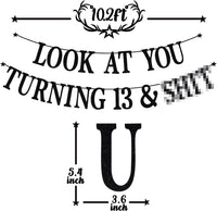 Black Glitter Look at You Turning 25 & Sh*t Banner - 13 - image 2