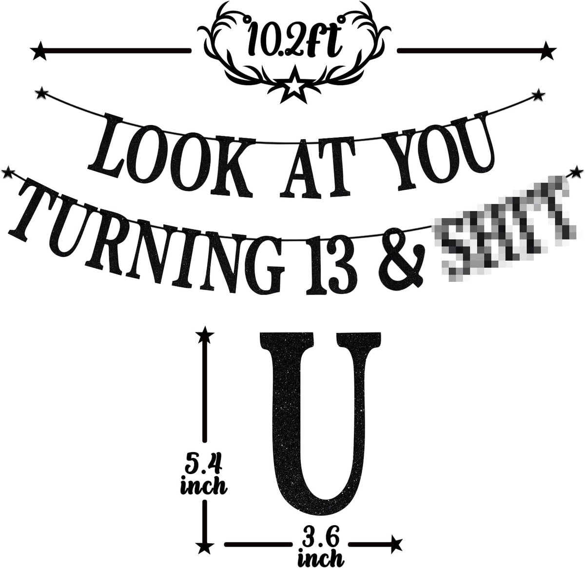 Black Glitter Look at You Turning 25 & Sh*t Banner - 13 - image 2