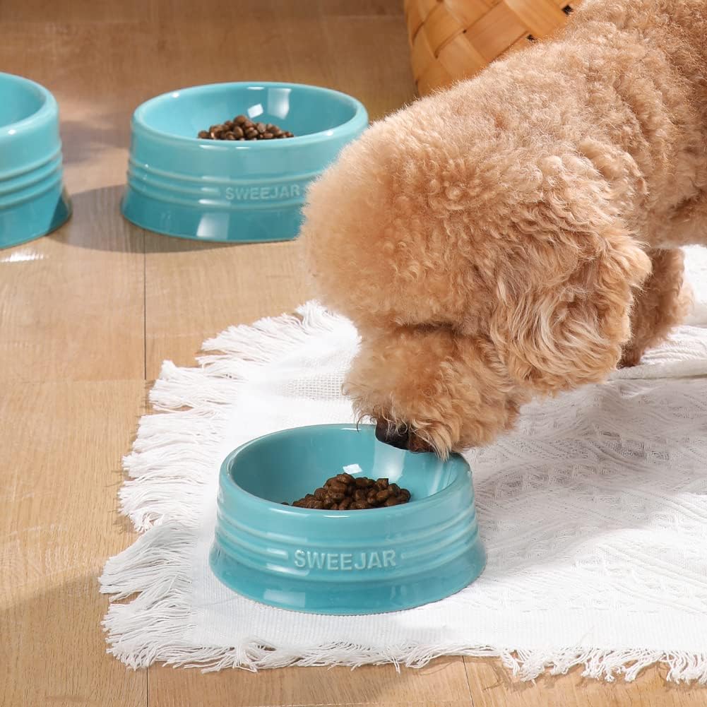 Sweejar Gradient Dog Bowl - Large (32oz) / Gradient Blue - image 3