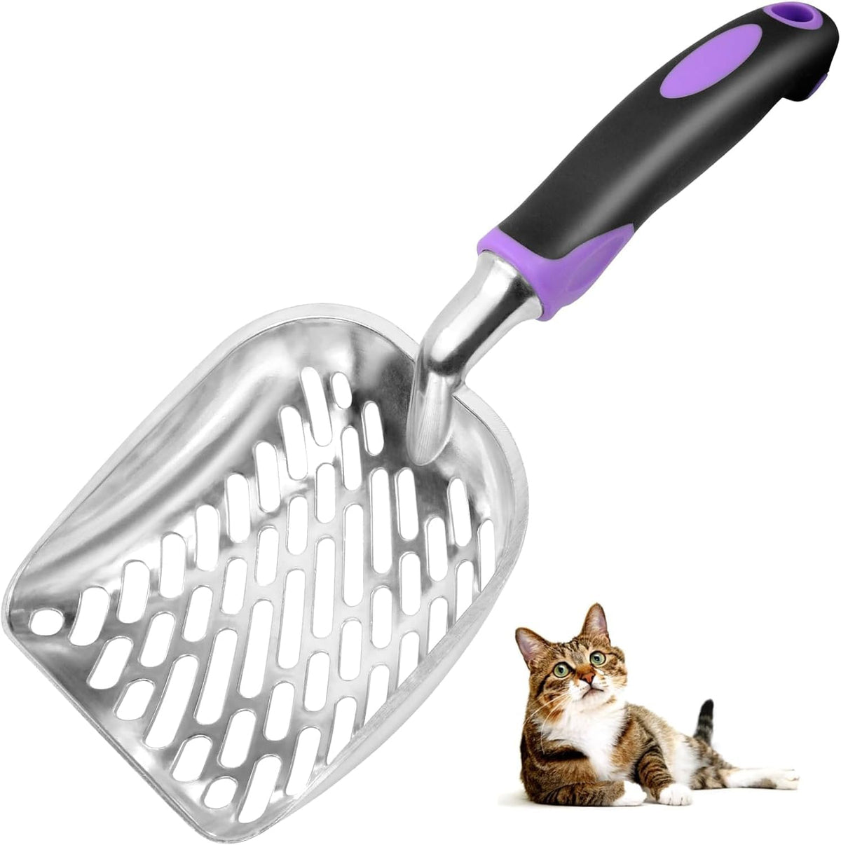 Cat Litter Scoop-Metal Litter Scooper-Kitty Metal Scooper-Long Handle – Daily Care for Cats - L / Purple-More