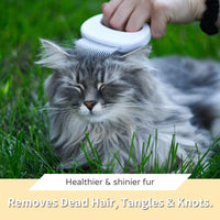 The Original Pet Hair Removal Massaging Shell Comb – Essentials for Cats - White - image 4