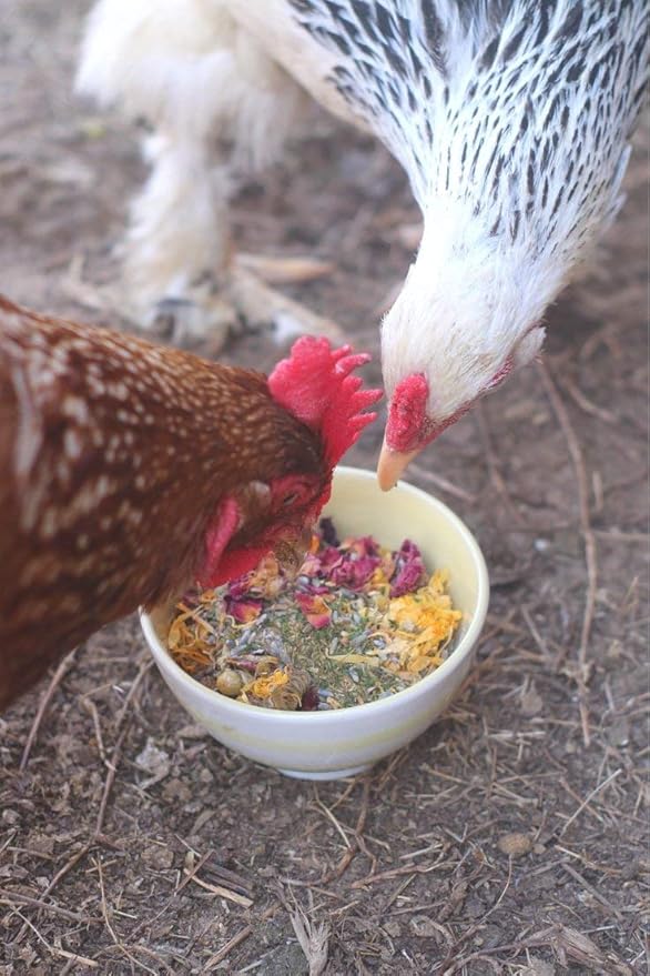 Pampered Chicken Mama Best Eggs Ever! Nesting Herbs for Chickens (1.25 Pounds) Calcium Supplement for Chickens | Chicken Feed Supplies, Hen Treats for Coops
