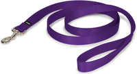PetSafe Nylon Dog Leash, Strong, Durable - 1 in. x 6 ft. / Deep Purple