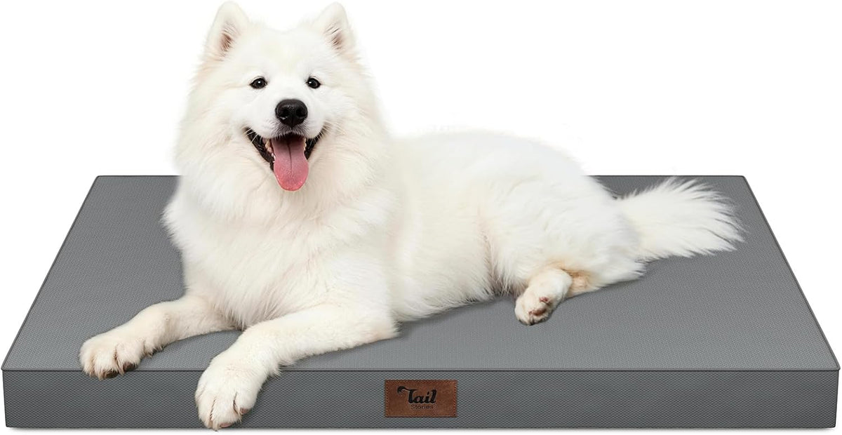 Outdoor Waterproof Orthopedic Dog Bed for Large Dogs – Essentials for Dogs - Grey / 41.0"L x 27.0"W x 3.5"Th