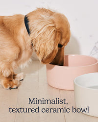 Fable Pets Ceramic Dog Bowl and Cat Dish - M/L/XL / Tofu - image 3