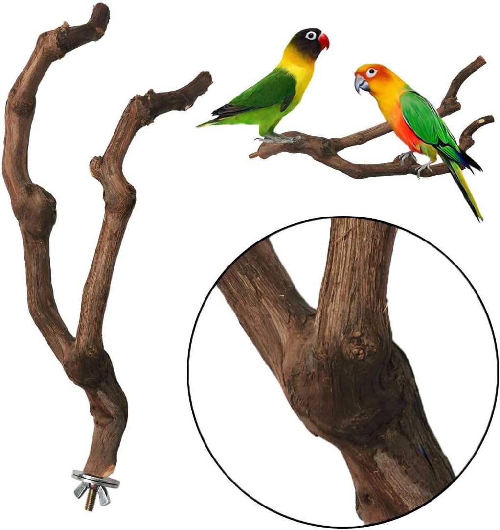 Natural Parrot Perch Bird Stand Pole Wild Grape Stick Paw Grinding - Wild Grape Stick 2 Pcs - image 3
