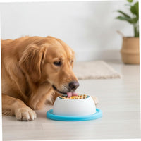 slow feeder pet bowl for liquid treats