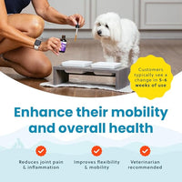 Liquid Glucosamine for Small Dogs, 260mg Glucosamine Liquid for Dogs Joint Supplement for Mobility & Comfort, Easy-to-Use Liquid MSM & Chondroitin, 2 oz