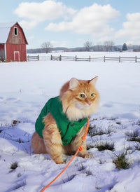 ASENKU Dog Winter Coat Dog Fleece Puffer Jacket for Small Medium - XXX-Large / Green - image 4