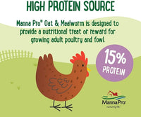 Manna Pro Farmhouse Favorites Oat & Mealworm Mix Poultry Treat – Natural Protein Source – Encouraging Poultry Treat – Mix of Oats, Peanuts, Raisins, Mealworms, Sunflower Kernels – 2lbs