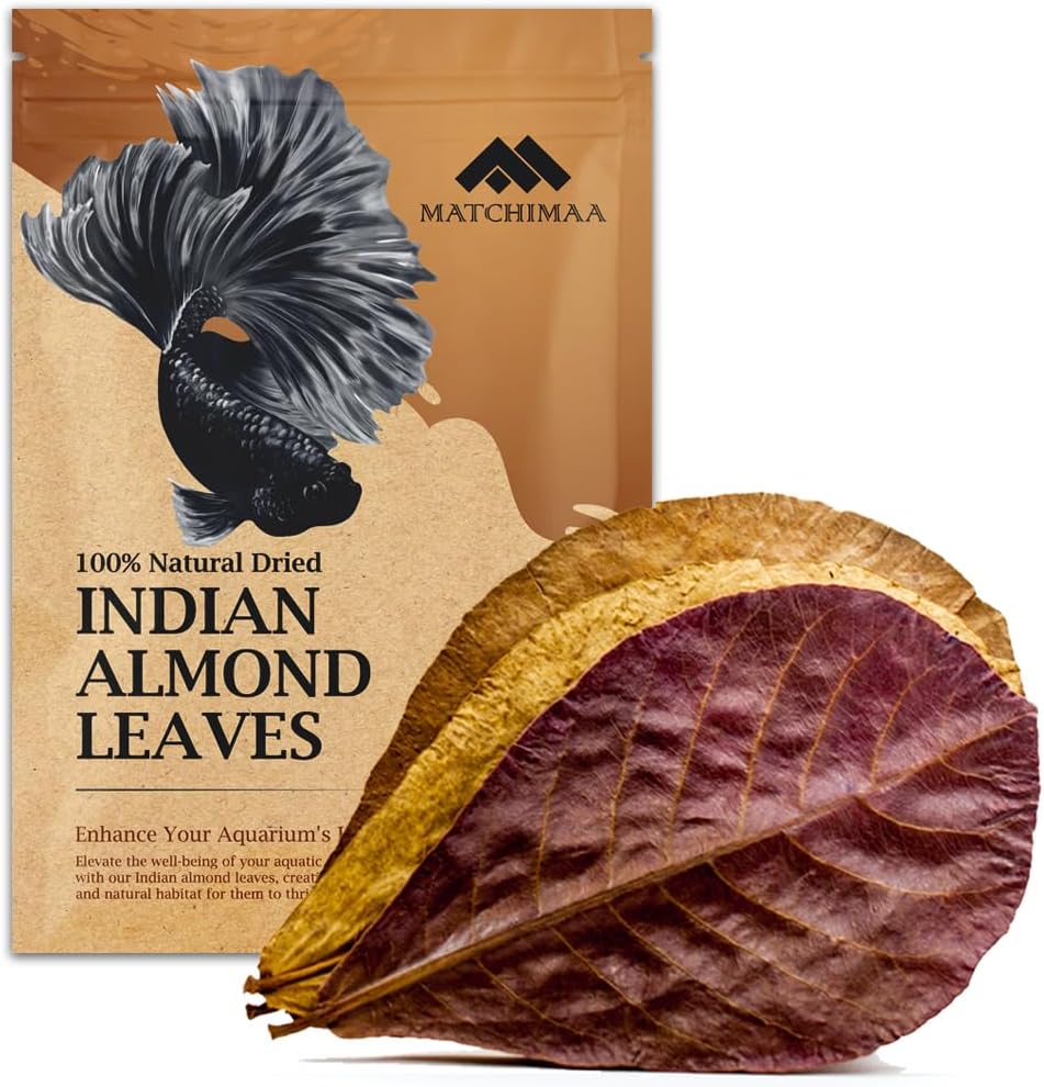 Premium Indian Almond Leave. Aquarium Decorations Size 6-9" Pack 50g.