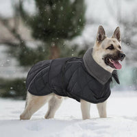 Kuoser Large Dog Coat, Fleece Lined Dog Winter Jacket with Harness Hole, L – Essentials for Dogs - X-large (Chest: 24.4" - 29.92") / Silver Grey - image 4