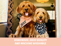 "Barkday on Pink" Dog Bandana