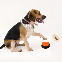 Voice Recording Button, Dog Buttons for Communication Pet Training Buzzer, 30 Second Record - image 2