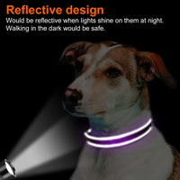 Joytale Reflective Dog Collar, Adjustable Neoprene Padded - Large (Pack of 1) / Purple - image 2