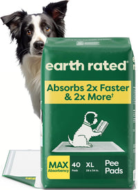 Regular Dog & Puppy Pee Pads, Max Absorbency - Clear View Top / XL 28"x34" 40-ct