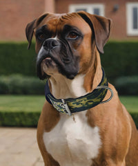 Dog Collar for Large Dogs, with Handle 2" Wide Heavy Duty - Camo Greed / L - image 4