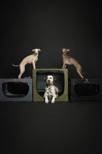 Noah & Paw XXL Collapsible Dog Crate, 42" - Black / 35.5"L x 25.2"W x 23.4"H - image 4