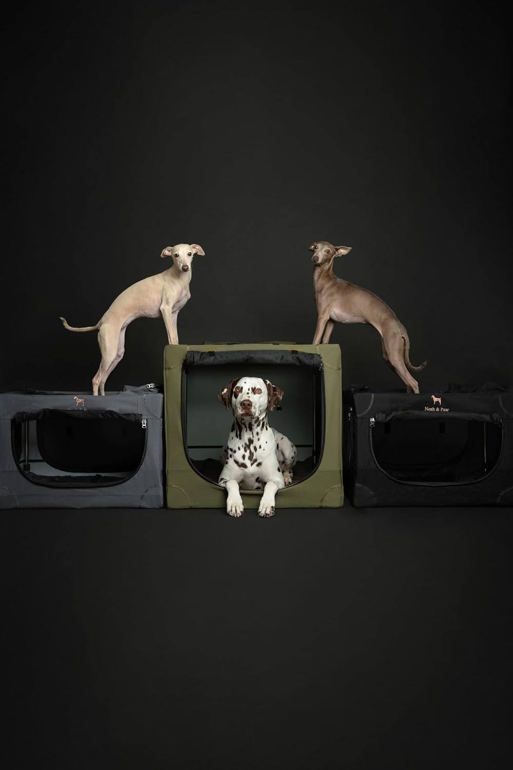 Noah & Paw XXL Collapsible Dog Crate, 42" - Black / 35.5"L x 25.2"W x 23.4"H - image 4