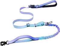 Heavy Duty Hands Free Dog Leash with Quick Release Carabiner - Aurora Purple