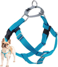 2 Hounds Design Freedom No Pull Dog Harness - Turquoise / 1" MD (Chest 24" - 28")