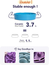 LE TAUCI Ceramic Slow Feeder Dog Bowls Small Breed - Vortex Blue / L-3 Cups - image 4